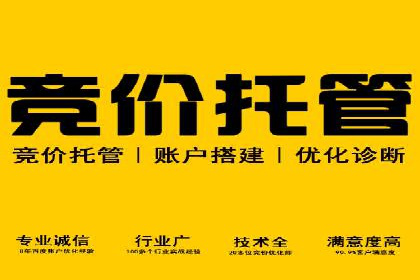 竞价广告赚钱：百度平台成功案例分析
